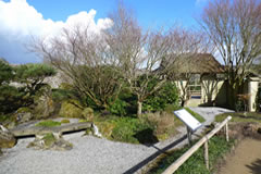ウェールズ植物園日本庭園