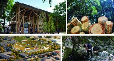 地域の未来を切り拓く